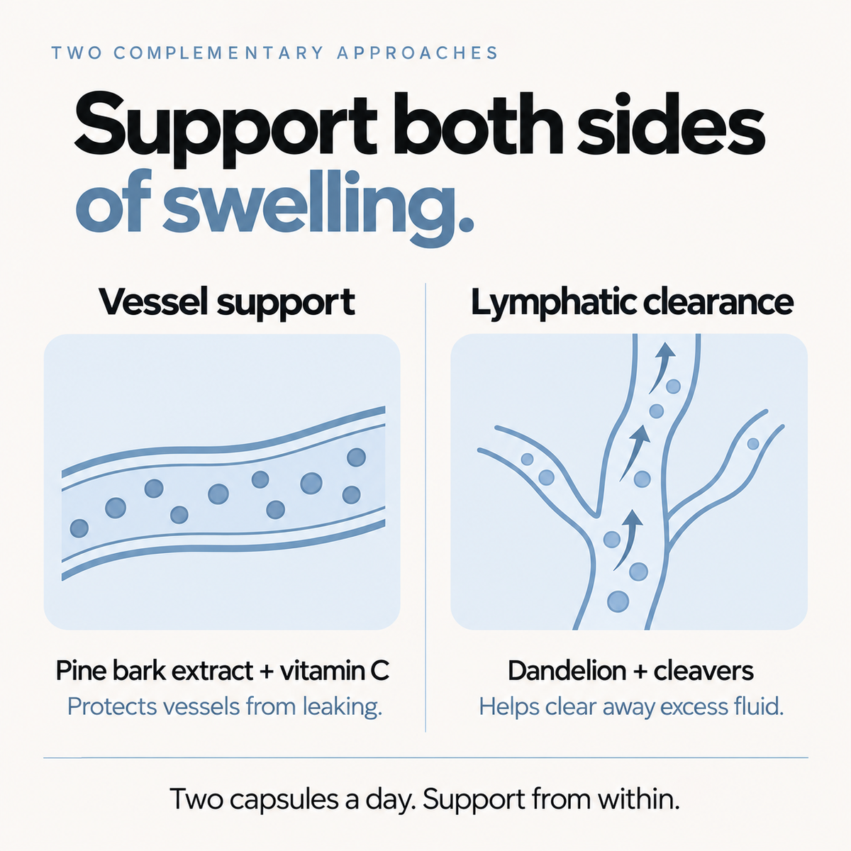 Support both sides of swelling: vessel support and lymphatic clearance